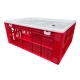Gaiola Alta para Aves e Frangos 115L